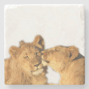 Lion Pair Stone Onderzetter