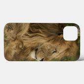 Lion, Panthera leo, Neder-Mara, Masai Mara GR, Case-Mate iPhone Case (Achterkant (horizontaal))