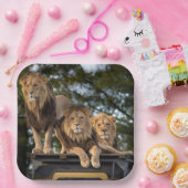 Lion Papieren Bordje (Feest)