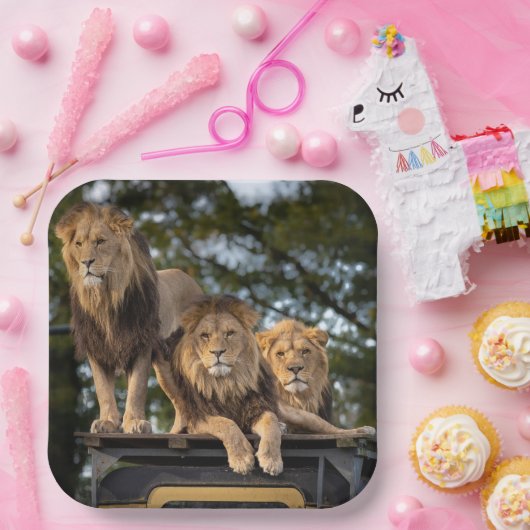 Lion Papieren Bordje (Feest)