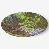 LION PAPIEREN BORDJE (Gekanteld)