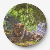 LION PAPIEREN BORDJE (Voorkant)