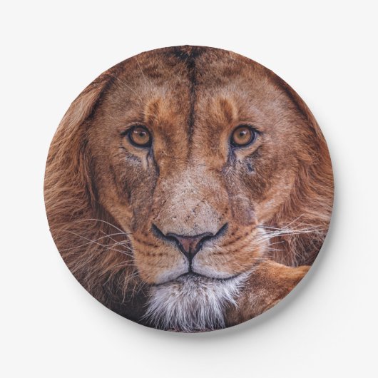 Lion Papieren Bordje (Voorkant)