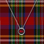 Lion Passant tartan Stropdas