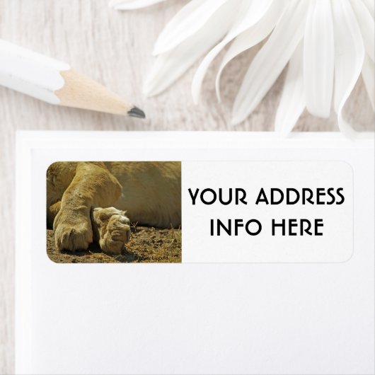 LION PAWS ETIKET (Insitu)