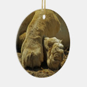Lion Paws Keramisch Ornament (Rechts)