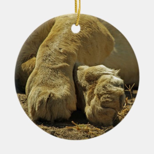 Lion Paws Keramisch Ornament (Voorkant)