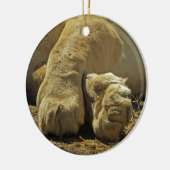 Lion Paws Keramisch Ornament (Links)