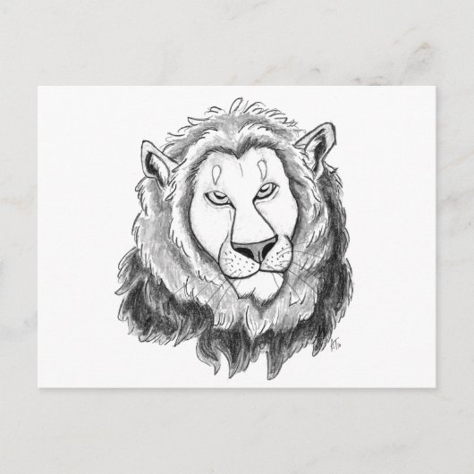 Lion Pencil Sketch Art Briefkaart (Voorkant)