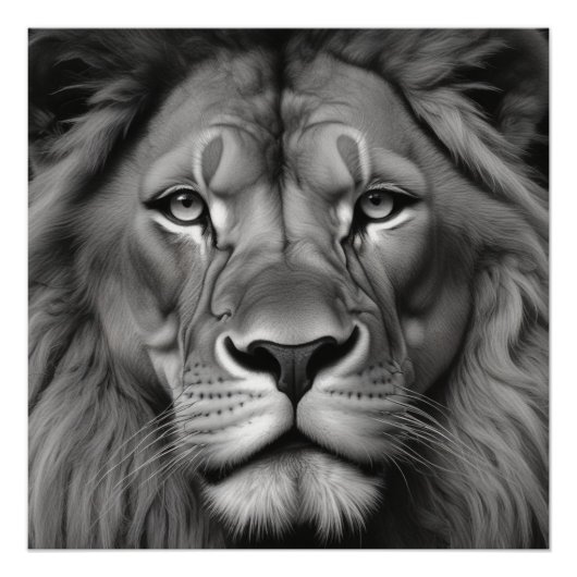 Lion Perfect Poster (Voorkant)