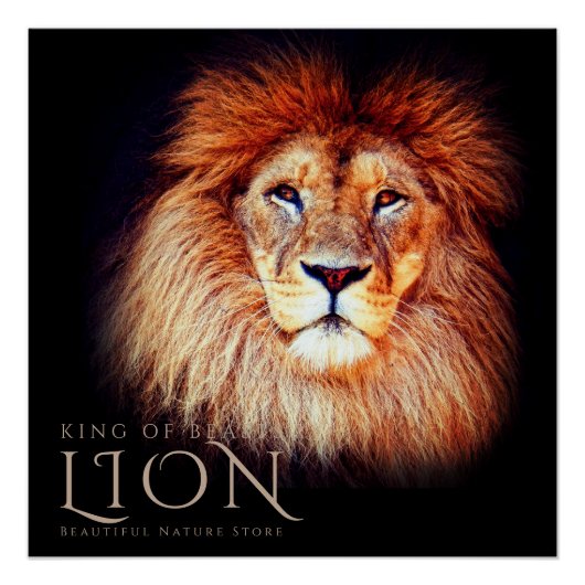 Lion [Perfect Poster] Perfect Poster (Voorkant)