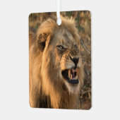 LION Persoonlijke naam Kerstmis foto's Metalen Ornament (Voorkant links)