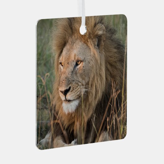 LION Persoonlijke naam Kerstmis foto's Metalen Ornament (Voorkant Rechts)