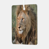 LION Persoonlijke naam Kerstmis foto's Metalen Ornament (Voorkant links)