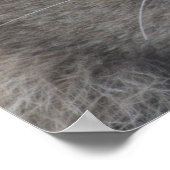 Lion Perspective Poster (Hoek)