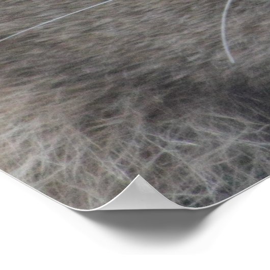 Lion Perspective Poster (Hoek)