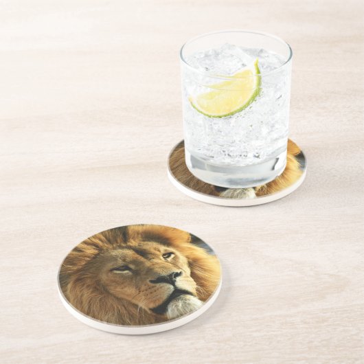 Lion Photo Drink Onderzetter (Zijkant)