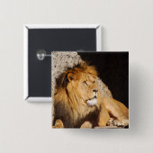 Lion Photo Square Pin Vierkante Button 5,1 Cm (Voorkant /achterkant)