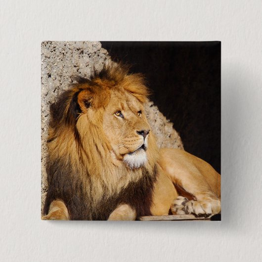 Lion Photo Square Pin Vierkante Button 5,1 Cm (Voorkant)