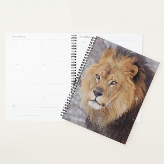 Lion Planner (Display)
