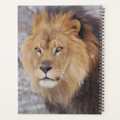 Lion Planner (Achterkant)