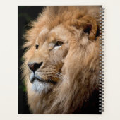 Lion Planner (Achterkant)