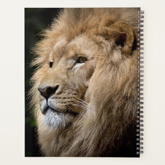 Lion Planner (Achterkant)