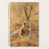 Lion Planner (Voorkant)