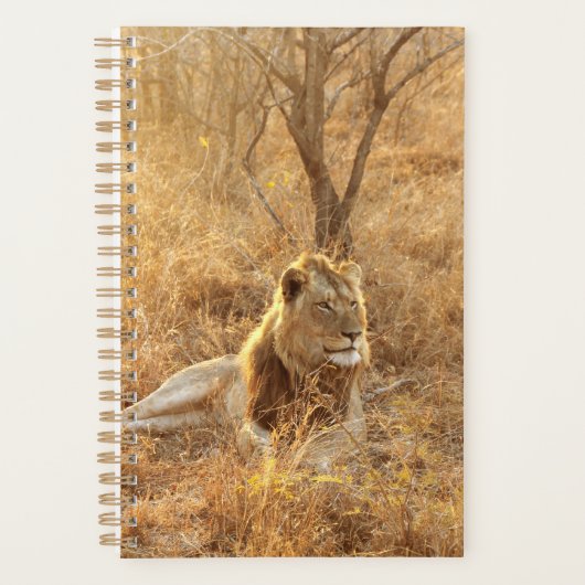 Lion Planner (Voorkant)