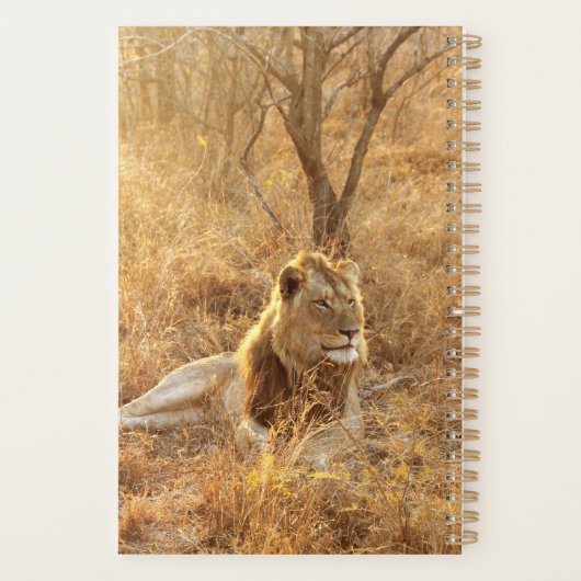 Lion Planner (Achterkant)