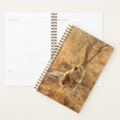 Lion Planner (Display)