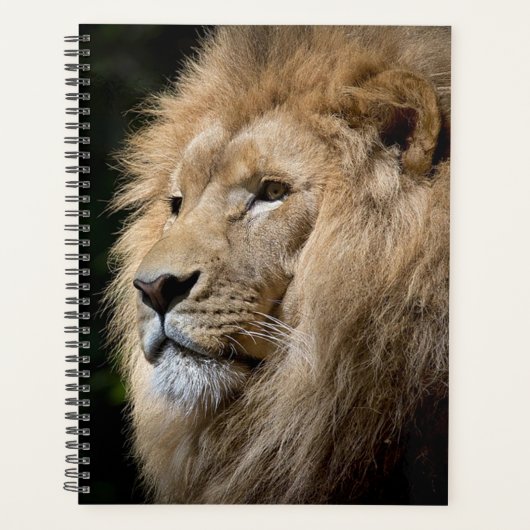 Lion Planner (Voorkant)