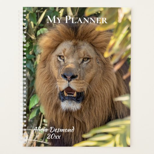 Lion Planner (Voorkant)