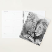 Lion Planner (Display)
