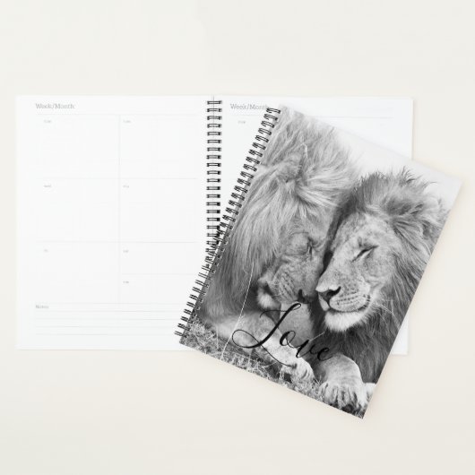 Lion Planner (Display)