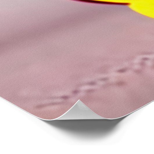 Lion plush speelgoed in zwarte doeken | AI Art. Poster (Hoek)