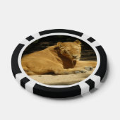 Lion Poker Chip (Enkel)