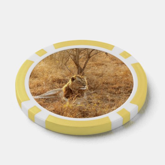 Lion Poker Chips (Enkel)
