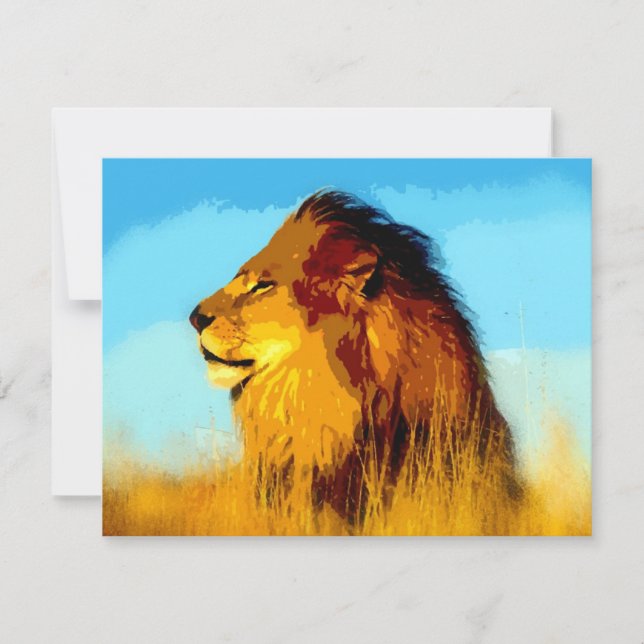 Lion Portrait (Voorkant)