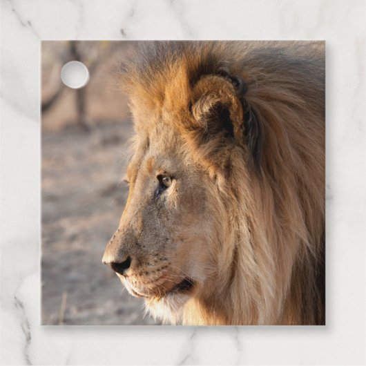 Lion Portrait Bedankjes Labels (Voorkant)