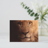 Lion Portrait Briefkaart (Staand voorkant)