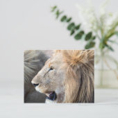 Lion Portrait Briefkaart (Staand voorkant)