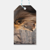 Lion Portrait Cadeaulabel (Achterkant)