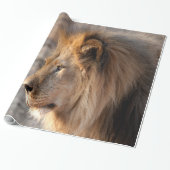 Lion Portrait Cadeaupapier (Uitgerold)