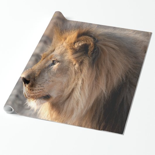 Lion Portrait Cadeaupapier (Uitgerold)