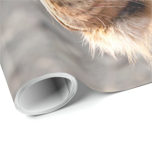 Lion Portrait Cadeaupapier (Rol Hoek)