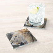 Lion Portrait Glazen Onderzetter (Schuin)