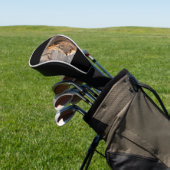 Lion Portrait Golfheadcover (Insitu)