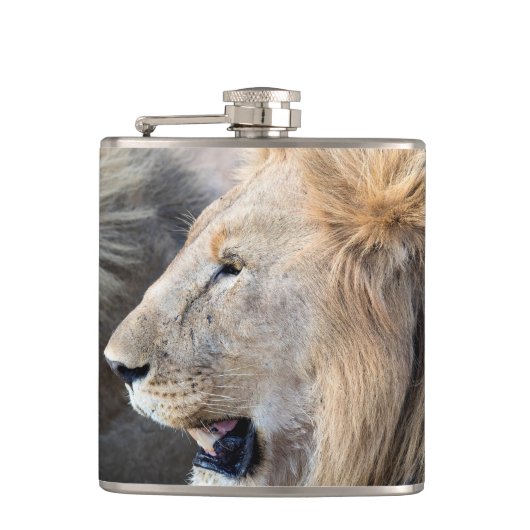Lion Portrait Heupfles (Voorkant)