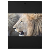 Lion Portrait Klembord (Achterkant)